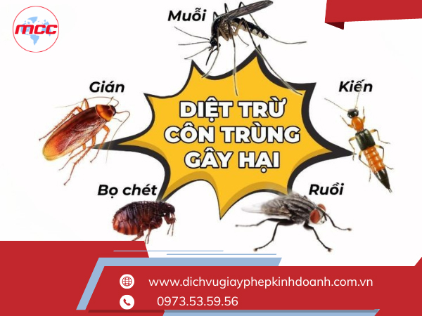 Diệt trừ côn trùng gây hại
