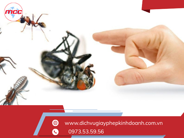 Điều kiện đối với việc thành lập công ty diệt côn trùng