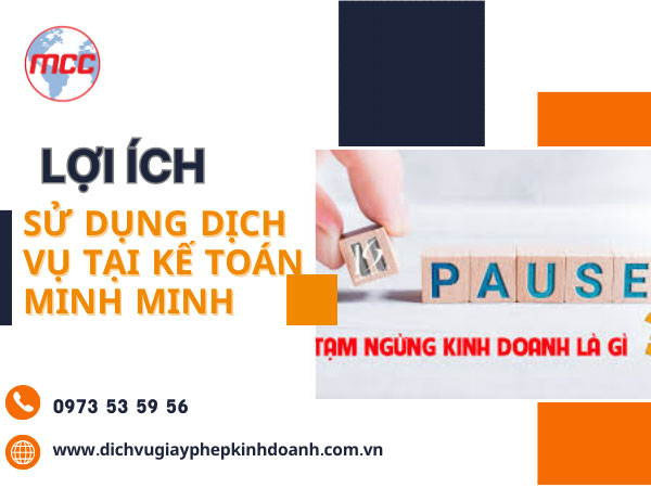 Lợi ích khi sử dụng dịch vụ tạm ngừng kinh doanh tại Đồng Nai của Kế toán Minh Minh