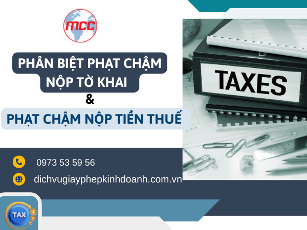 Phân biệt phạt chậm nộp tờ khai và phạt chậm nộp tiền thuế trong mức phạt chậm nộp thuế 2025