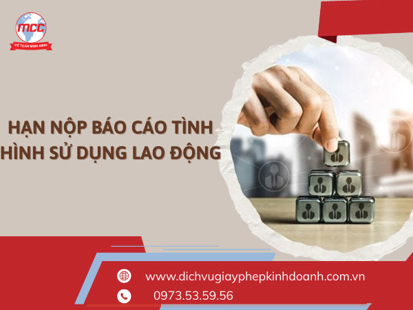 Hạn nộp báo cáo tình hình sử dụng lao động 6 tháng cuối năm 2025