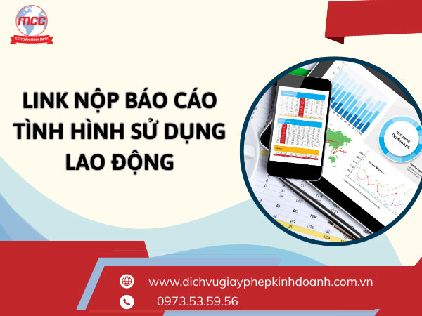 Link nộp báo cáo tình hình sử dụng lao động năm 2025