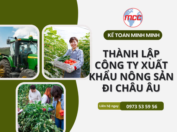 Kế toán Minh Minh thành lập công ty xuất khẩu nông sản đi Châu Âu trọn gói